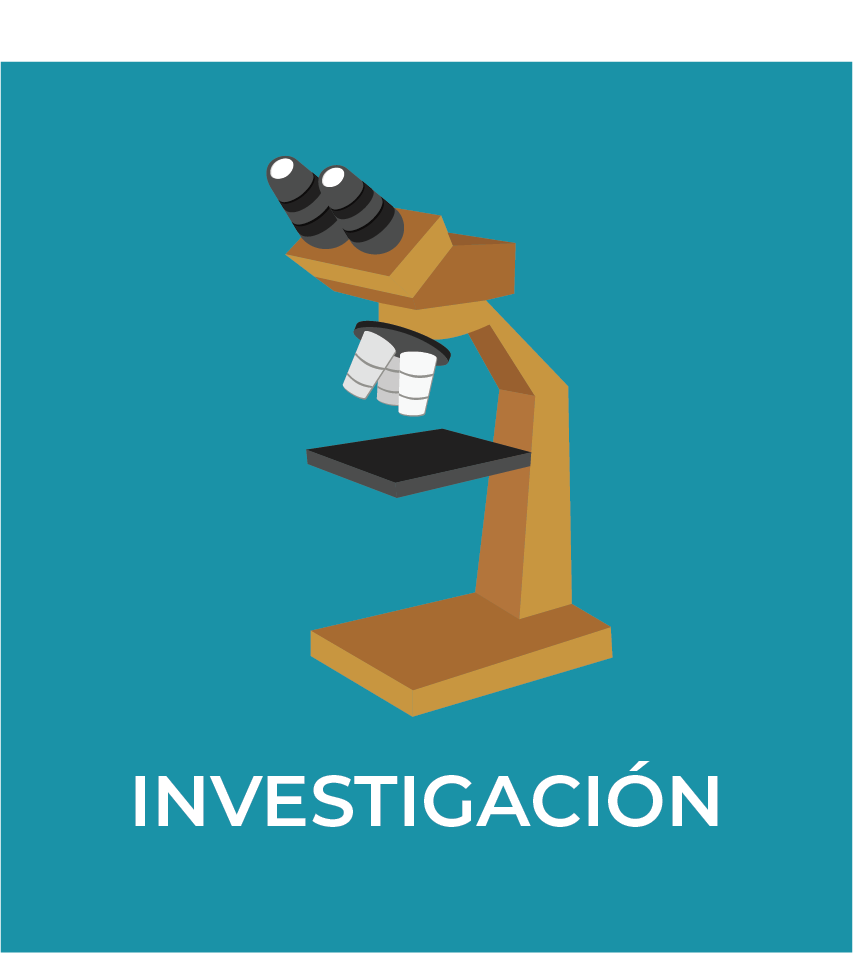 Botón 4